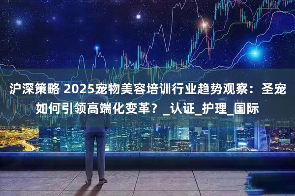 沪深策略 2025宠物美容培训行业趋势观察：圣宠如何引领高端化变革？_认证_护理_国际