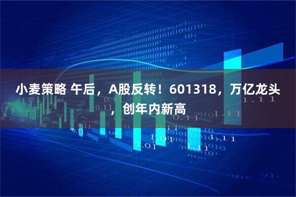 小麦策略 午后，A股反转！601318，万亿龙头，创年内新高