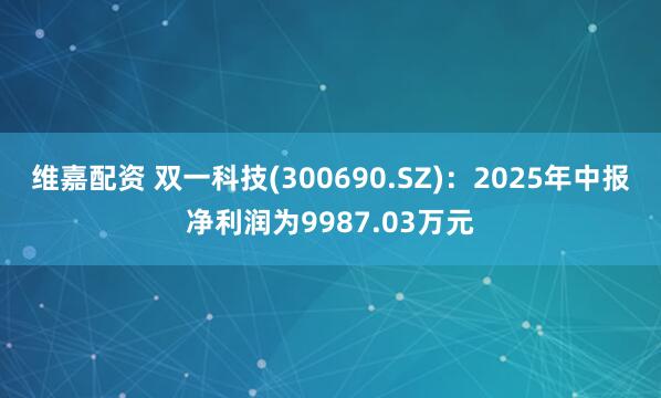维嘉配资 双一科技(300690.SZ)：2025年中报净利润为9987.03万元